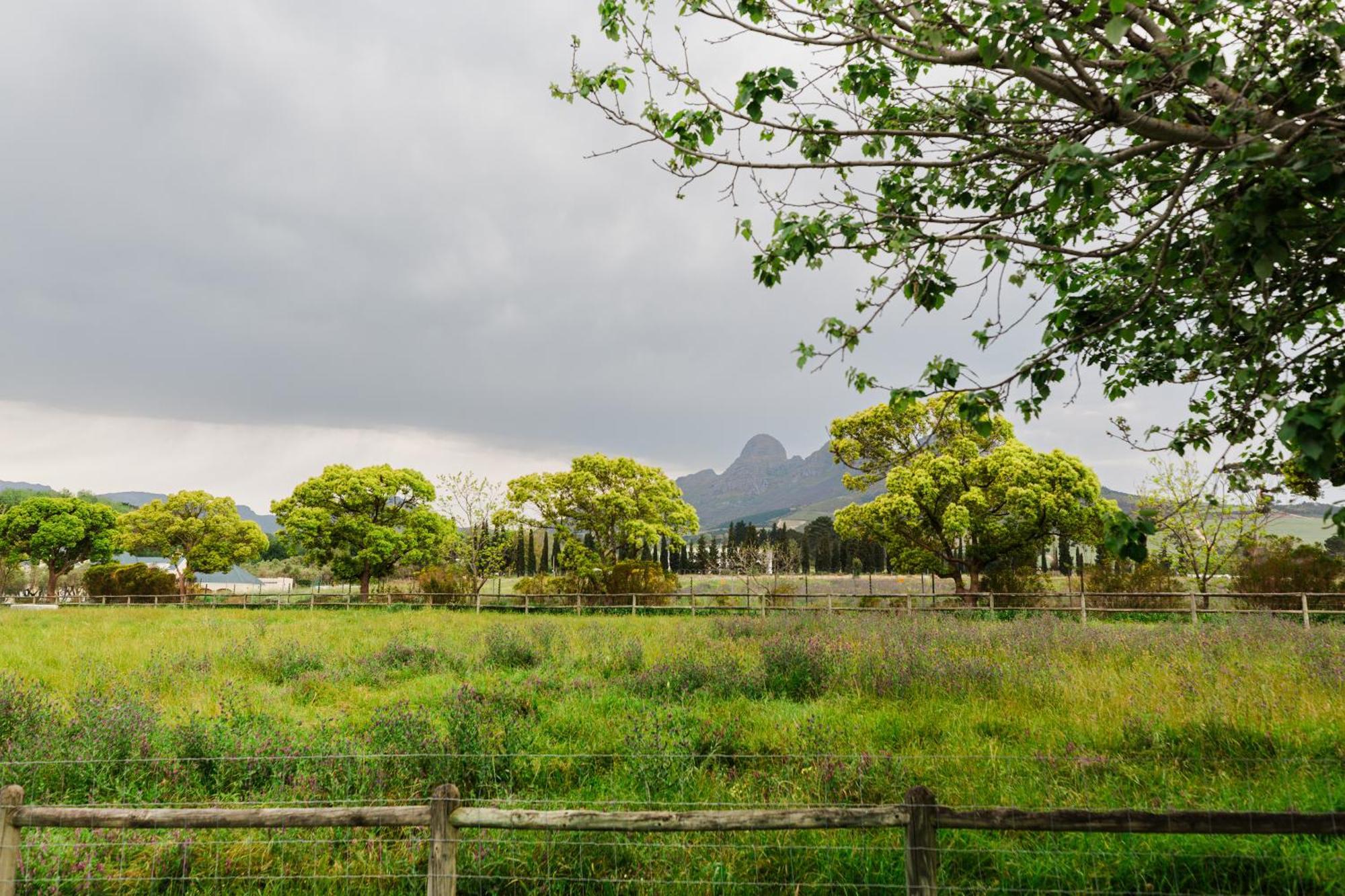Marshden Estate Bed & Breakfast Stellenbosch Exterior photo